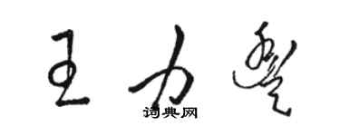 駱恆光王力豐草書個性簽名怎么寫