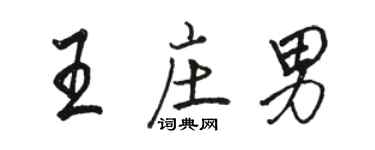 駱恆光王莊男行書個性簽名怎么寫