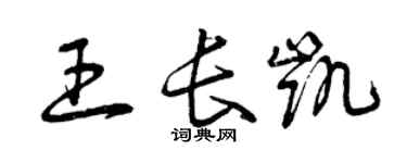 曾慶福王長凱草書個性簽名怎么寫