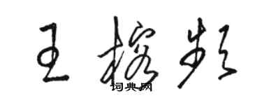 駱恆光王榕頻草書個性簽名怎么寫