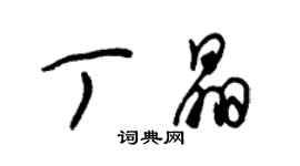 朱錫榮丁晶草書個性簽名怎么寫