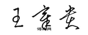 駱恆光王章貴草書個性簽名怎么寫