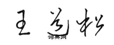 駱恆光王道松草書個性簽名怎么寫