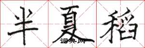 駱恆光半夏稻楷書怎么寫