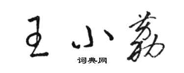 駱恆光王小荔草書個性簽名怎么寫