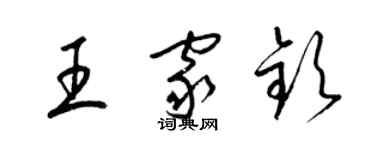 梁錦英王家欽草書個性簽名怎么寫