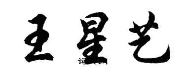 胡問遂王星藝行書個性簽名怎么寫