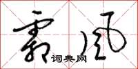梁錦英霜風草書怎么寫