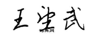 王正良王望武行書個性簽名怎么寫