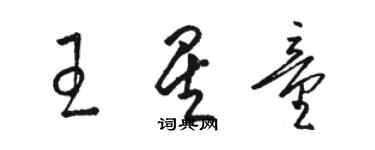 駱恆光王星童草書個性簽名怎么寫