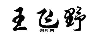 胡問遂王飛野行書個性簽名怎么寫