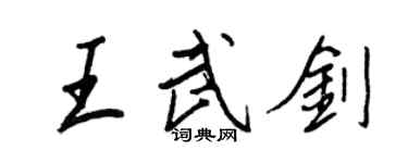 王正良王武劍行書個性簽名怎么寫