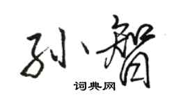 駱恆光孫智行書個性簽名怎么寫