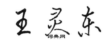 駱恆光王靈東行書個性簽名怎么寫