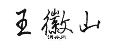 駱恆光王徽山行書個性簽名怎么寫