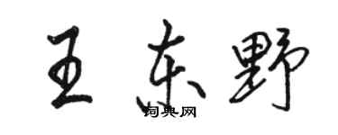 駱恆光王東野行書個性簽名怎么寫
