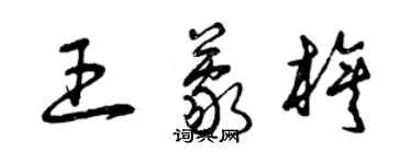 曾慶福王蒙旗草書個性簽名怎么寫