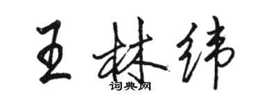 駱恆光王林緯行書個性簽名怎么寫