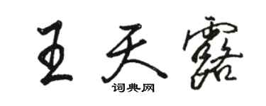 駱恆光王天露行書個性簽名怎么寫