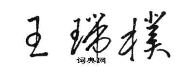 駱恆光王瑞朴草書個性簽名怎么寫