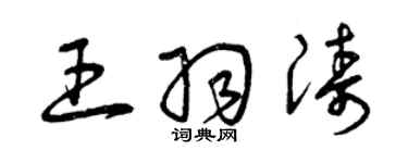 曾慶福王羽濤草書個性簽名怎么寫