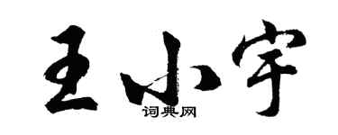 胡問遂王小宇行書個性簽名怎么寫