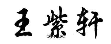 胡問遂王紫軒行書個性簽名怎么寫