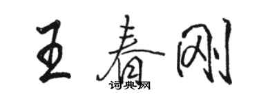 駱恆光王春剛行書個性簽名怎么寫