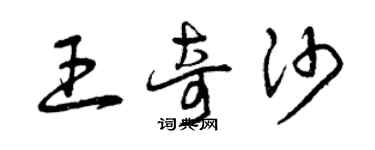 曾慶福王奇沙草書個性簽名怎么寫