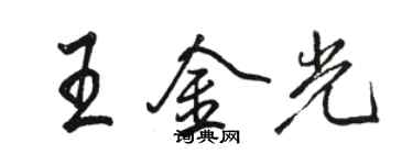 駱恆光王金光行書個性簽名怎么寫