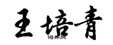 胡問遂王培青行書個性簽名怎么寫