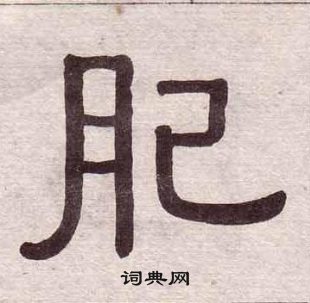 黃葆戉千字文中肥的寫法