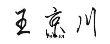駱恆光王京川行書個性簽名怎么寫