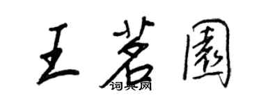 王正良王茗園行書個性簽名怎么寫