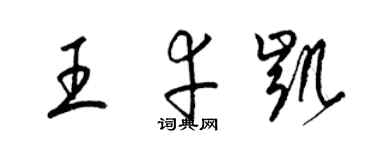 梁錦英王幸凱草書個性簽名怎么寫