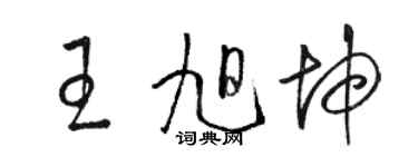 駱恆光王旭坤草書個性簽名怎么寫