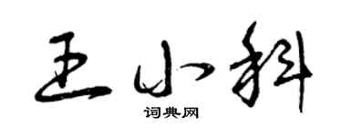 曾慶福王小科草書個性簽名怎么寫