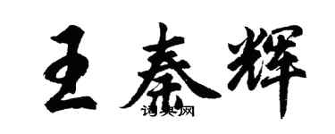 胡問遂王秦輝行書個性簽名怎么寫