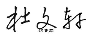 駱恆光杜文軒草書個性簽名怎么寫