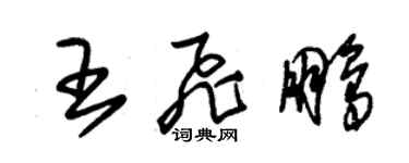 朱錫榮王飛鵬草書個性簽名怎么寫