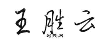 駱恆光王勝雲行書個性簽名怎么寫