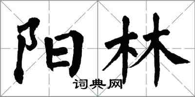 翁闓運陽林楷書怎么寫