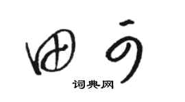 駱恆光田可草書個性簽名怎么寫
