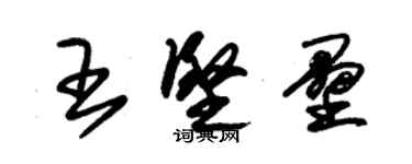 朱錫榮王堅壘草書個性簽名怎么寫