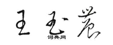 駱恆光王玉農草書個性簽名怎么寫