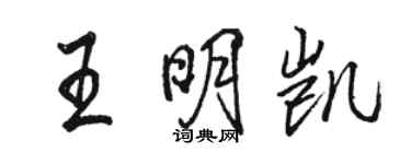 駱恆光王明凱行書個性簽名怎么寫
