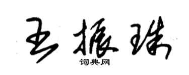 朱錫榮王振珠草書個性簽名怎么寫