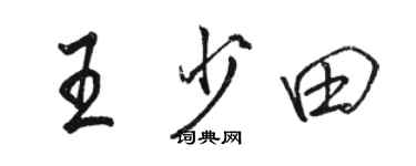駱恆光王少田行書個性簽名怎么寫