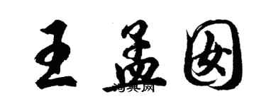 胡問遂王孟囡行書個性簽名怎么寫