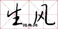 生風怎么寫好看